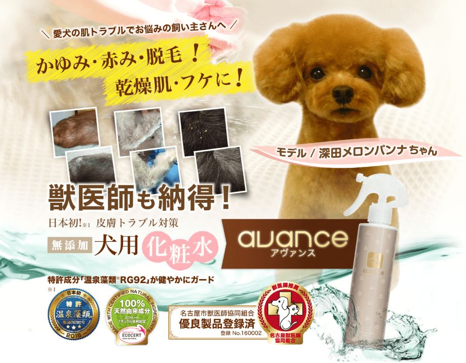 アヴァンス 犬用化粧水